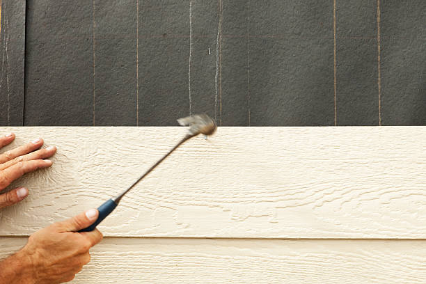 Best Custom Siding Design  in USA